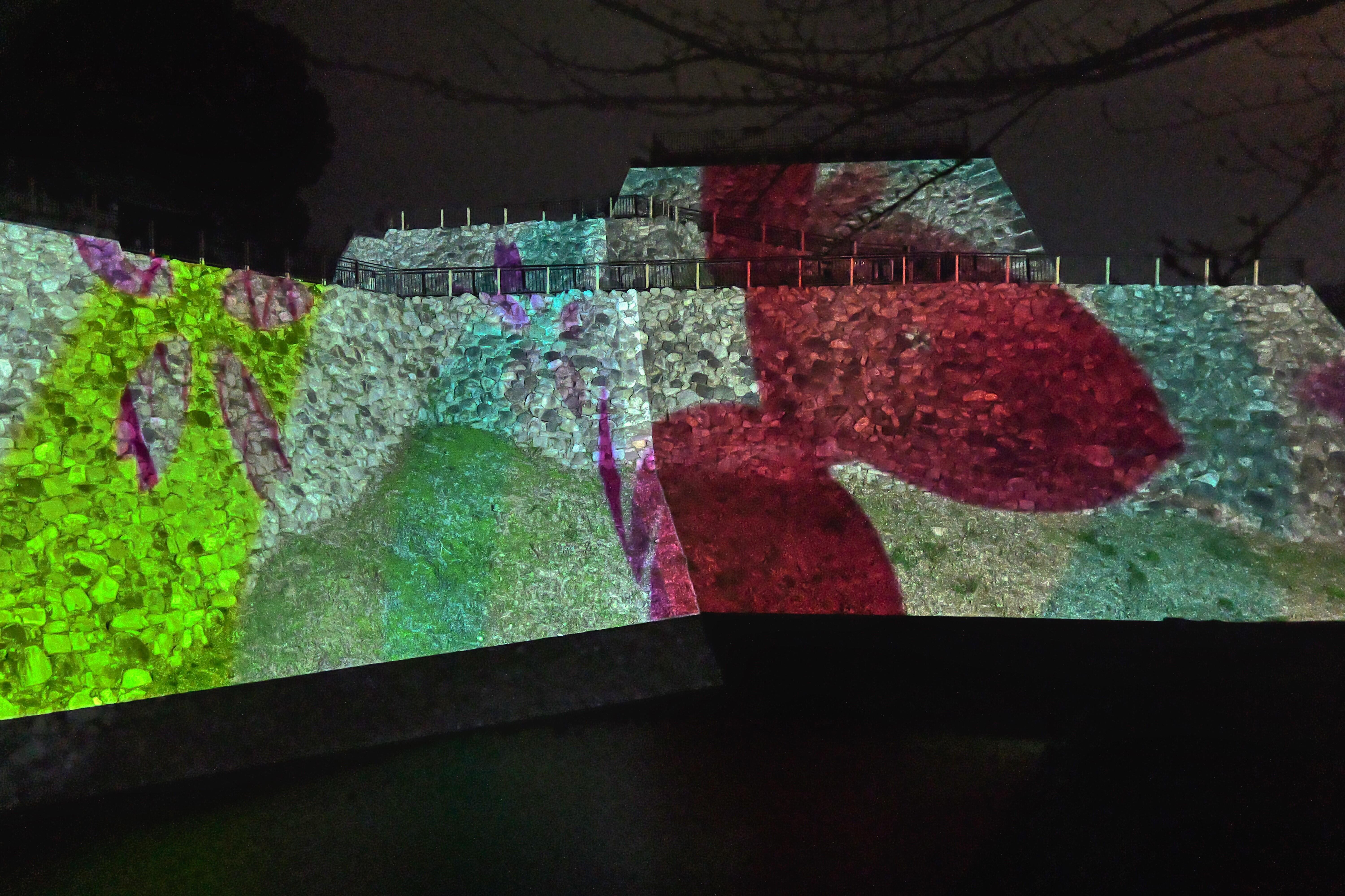 https://www1.jimu.nara-k.ac.jp/admission/uploads/20241207-06.JPG