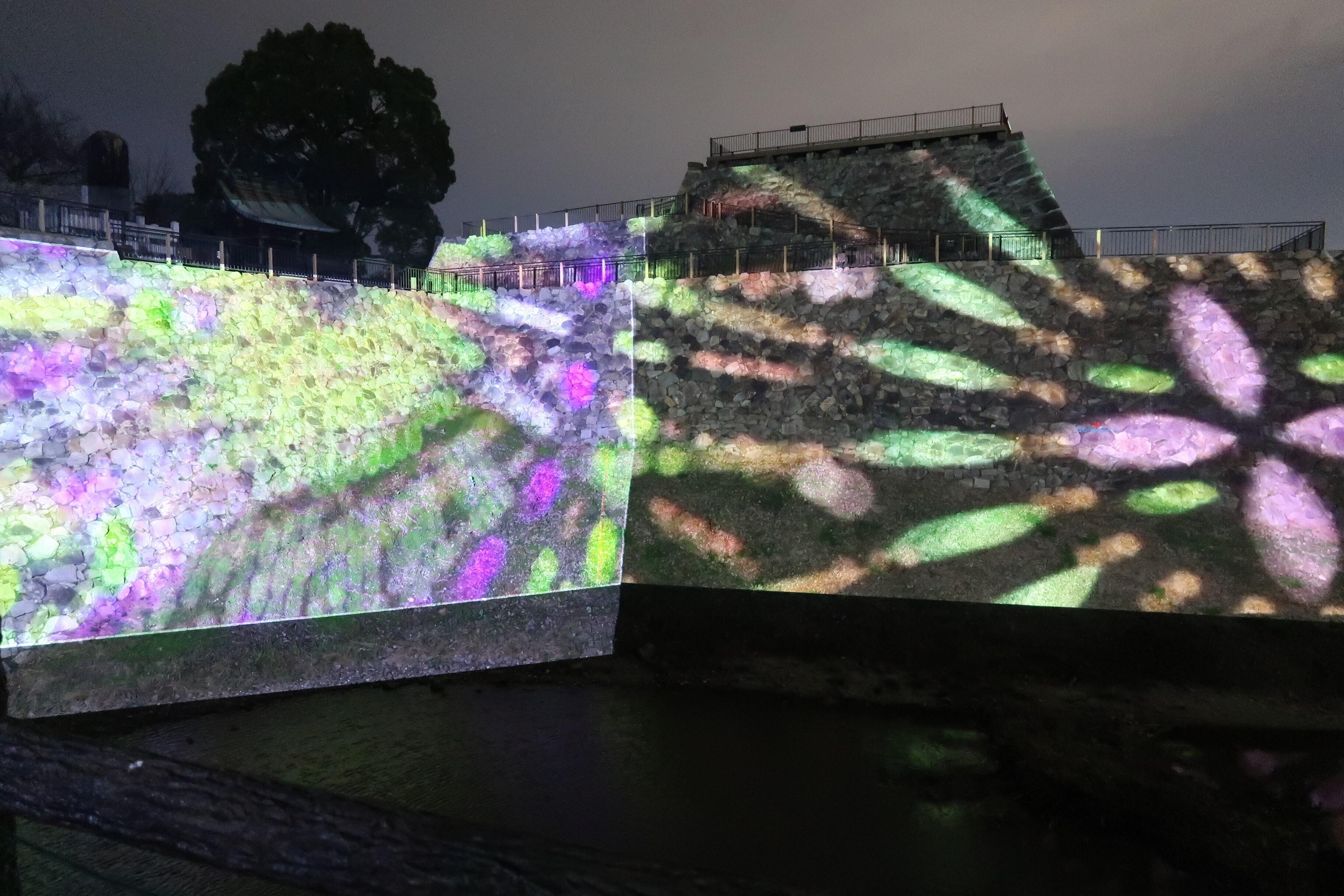 https://www1.jimu.nara-k.ac.jp/admission/uploads/20241207-07.JPG