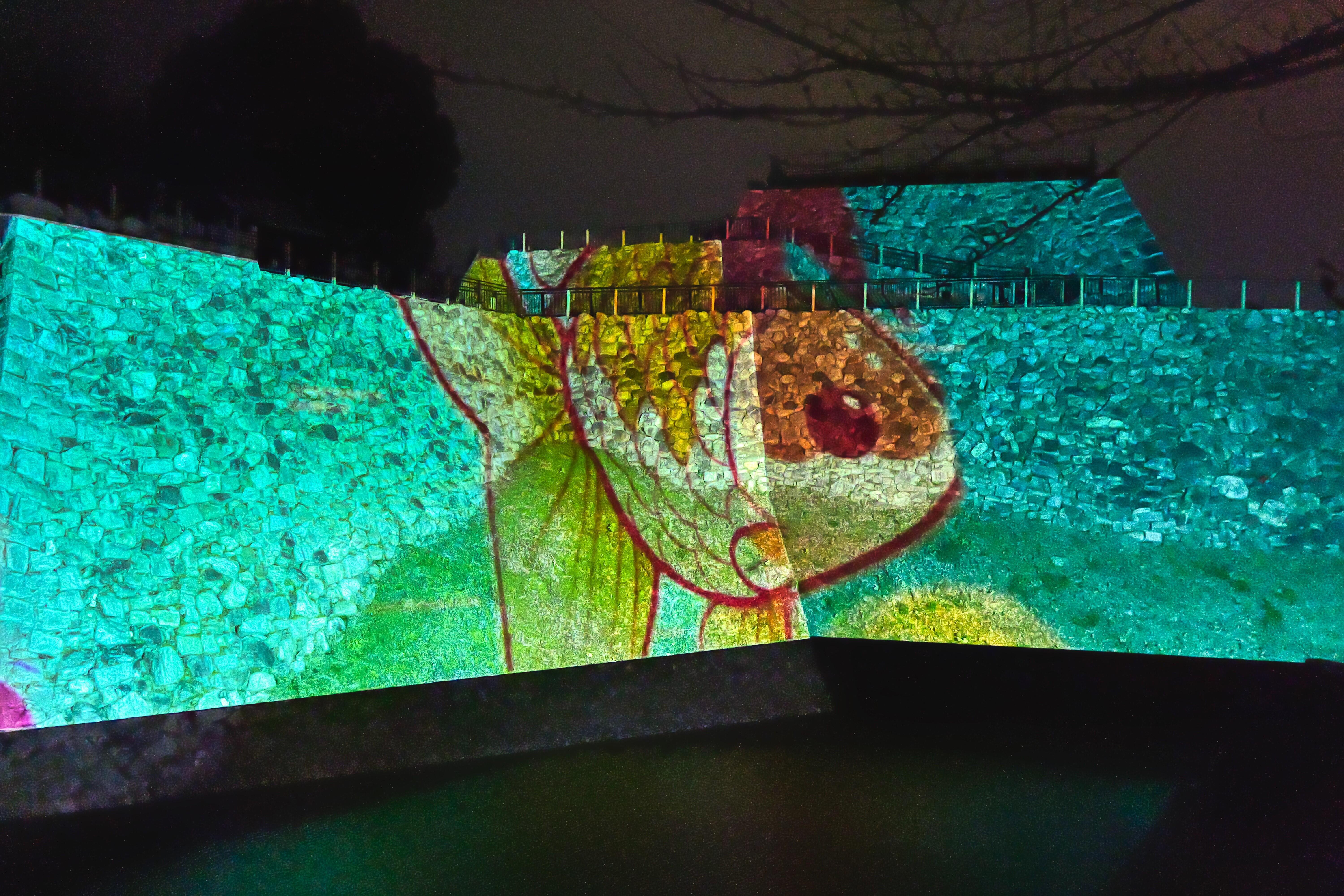 https://www1.jimu.nara-k.ac.jp/admission/uploads/20241207-08.JPG