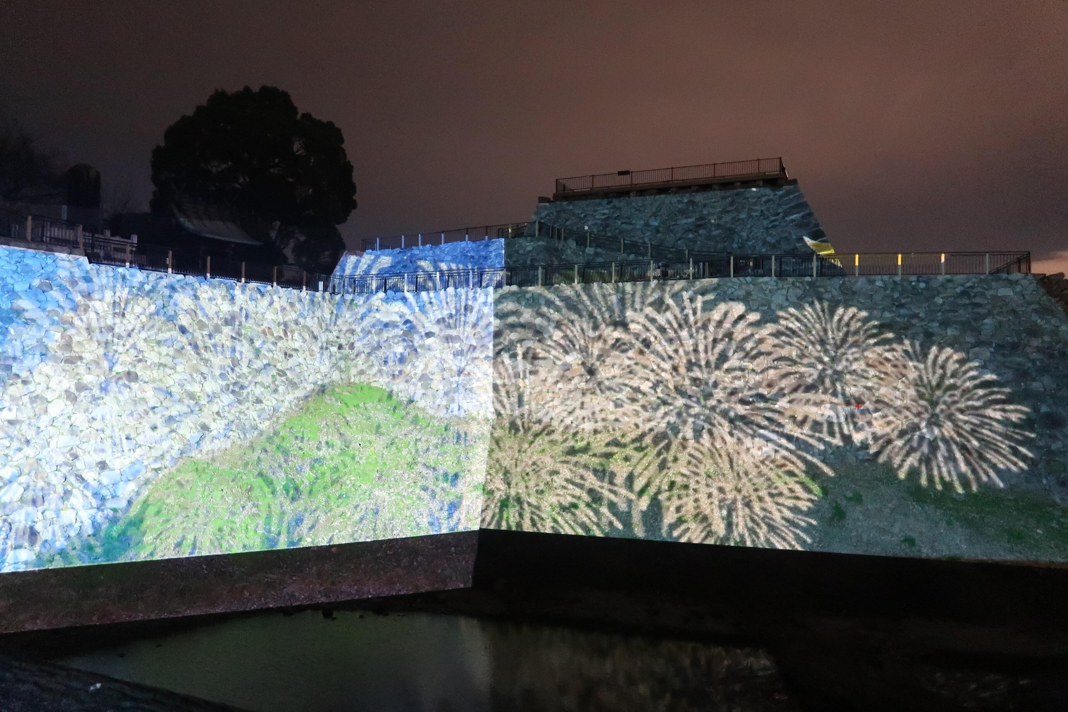 https://www1.jimu.nara-k.ac.jp/admission/uploads/20241207-10.JPG