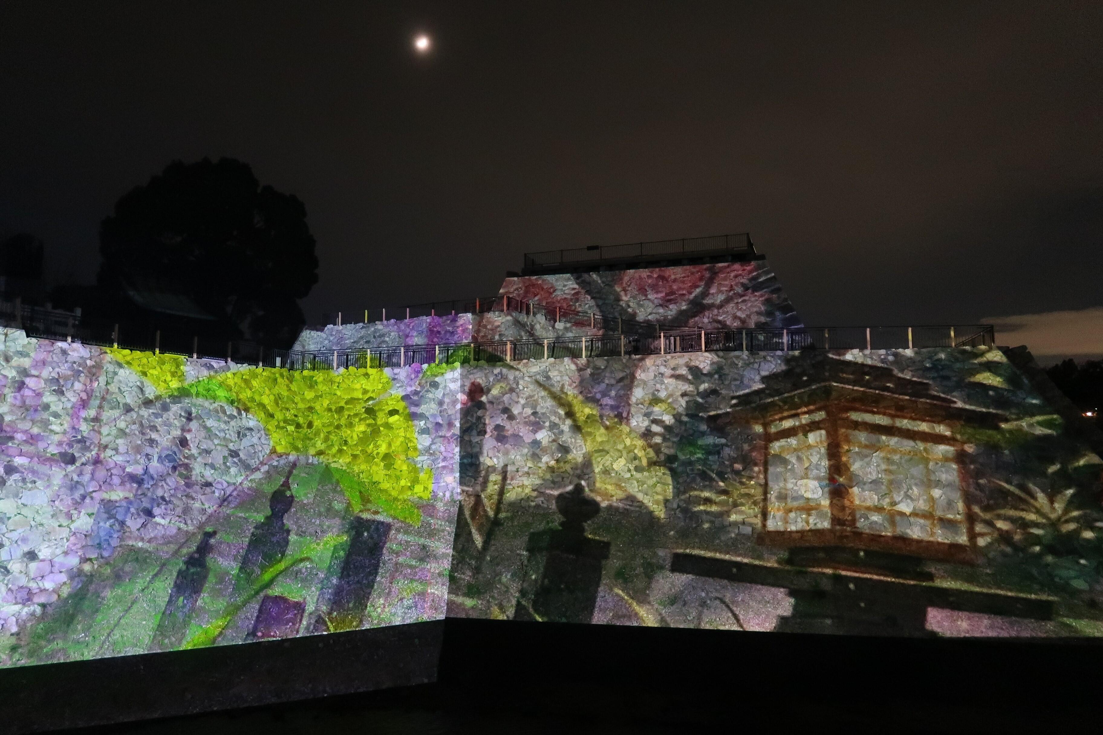 https://www1.jimu.nara-k.ac.jp/admission/uploads/20241207-12.JPG
