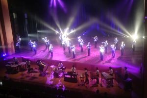 3_Stage_Marching_Show_resize.jpg
